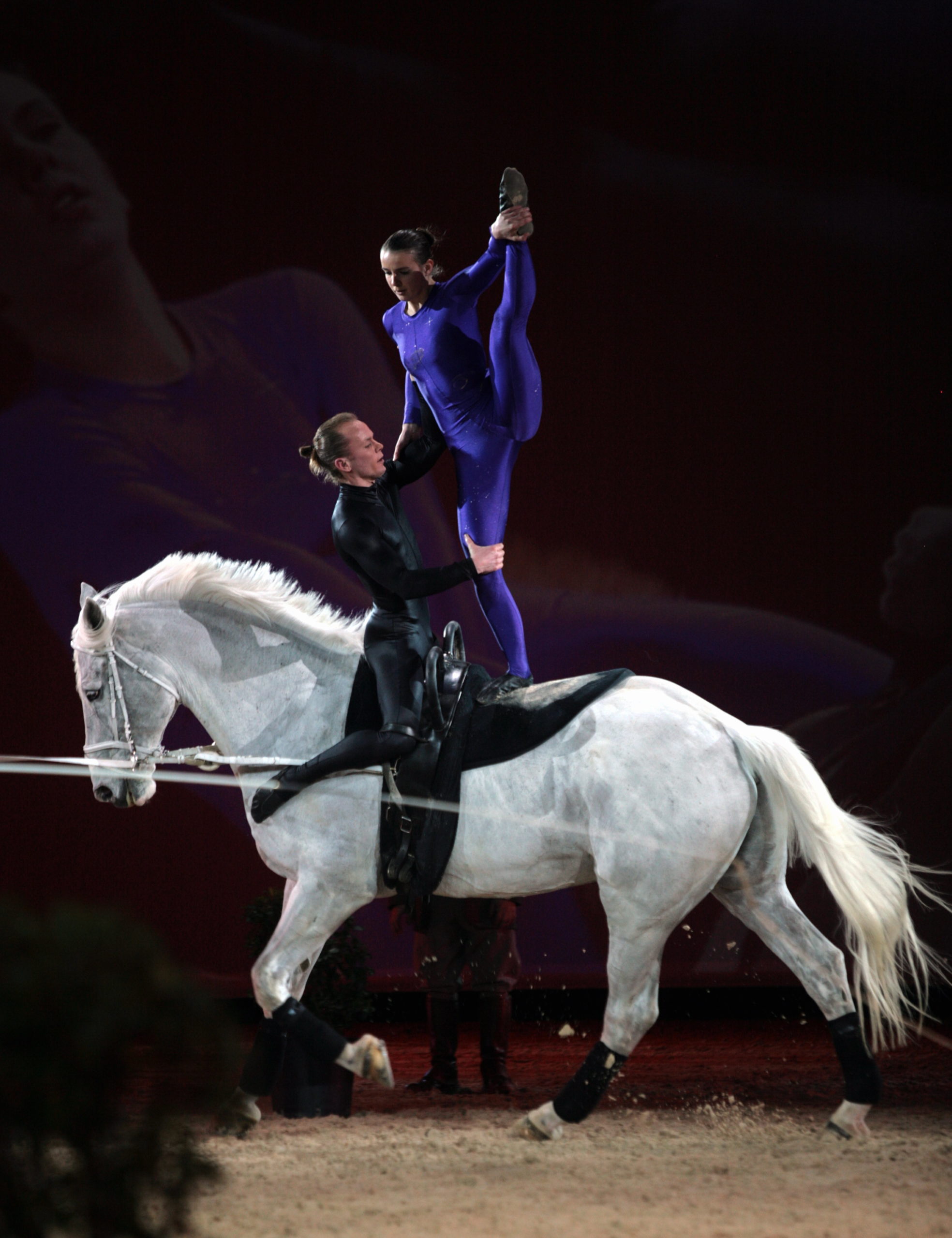Cheval Passion