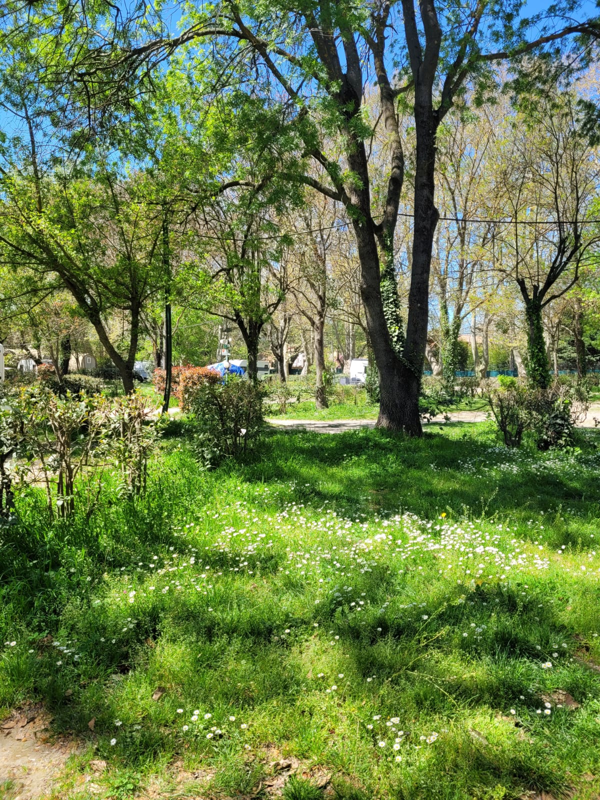 whatsapp-image-2025-04-07-a-09.22.23_8fb4621b