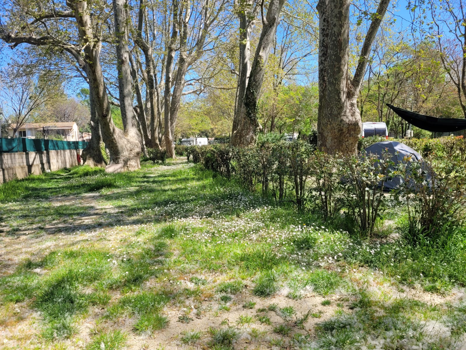 whatsapp-image-2025-04-07-a-09.22.24_4508a6a3