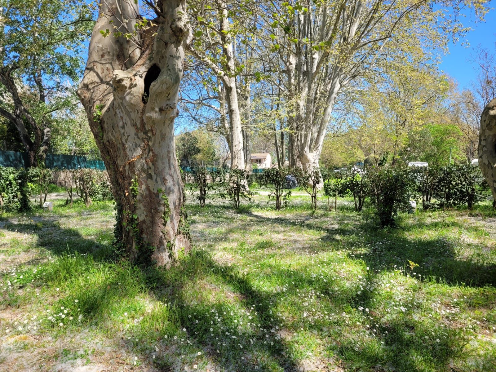 whatsapp-image-2025-04-07-a-09.22.26_1337ba1f