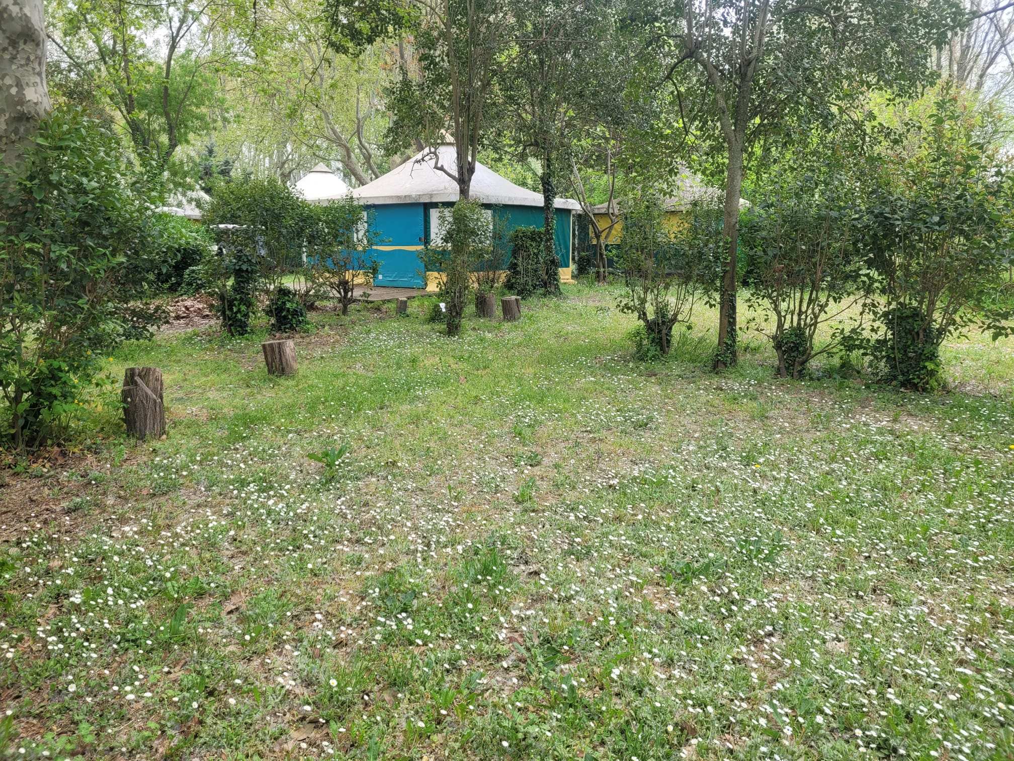 whatsapp-image-2025-04-09-a-13.00.26_5502aaf8